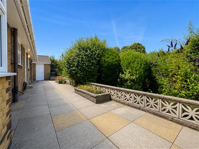 Picture 23